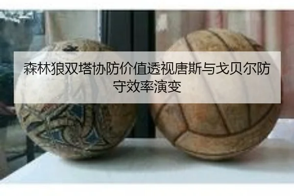 森林狼双塔协防价值透视唐斯与戈贝尔防守效率演变